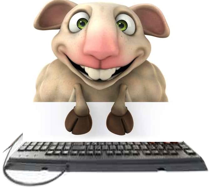 Le webmarketer de contenu : un mouton à au moins 5 pattes dont une est un talent de geek